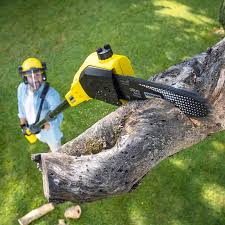 Best Arborist Consultation Services  in Buena, NJ